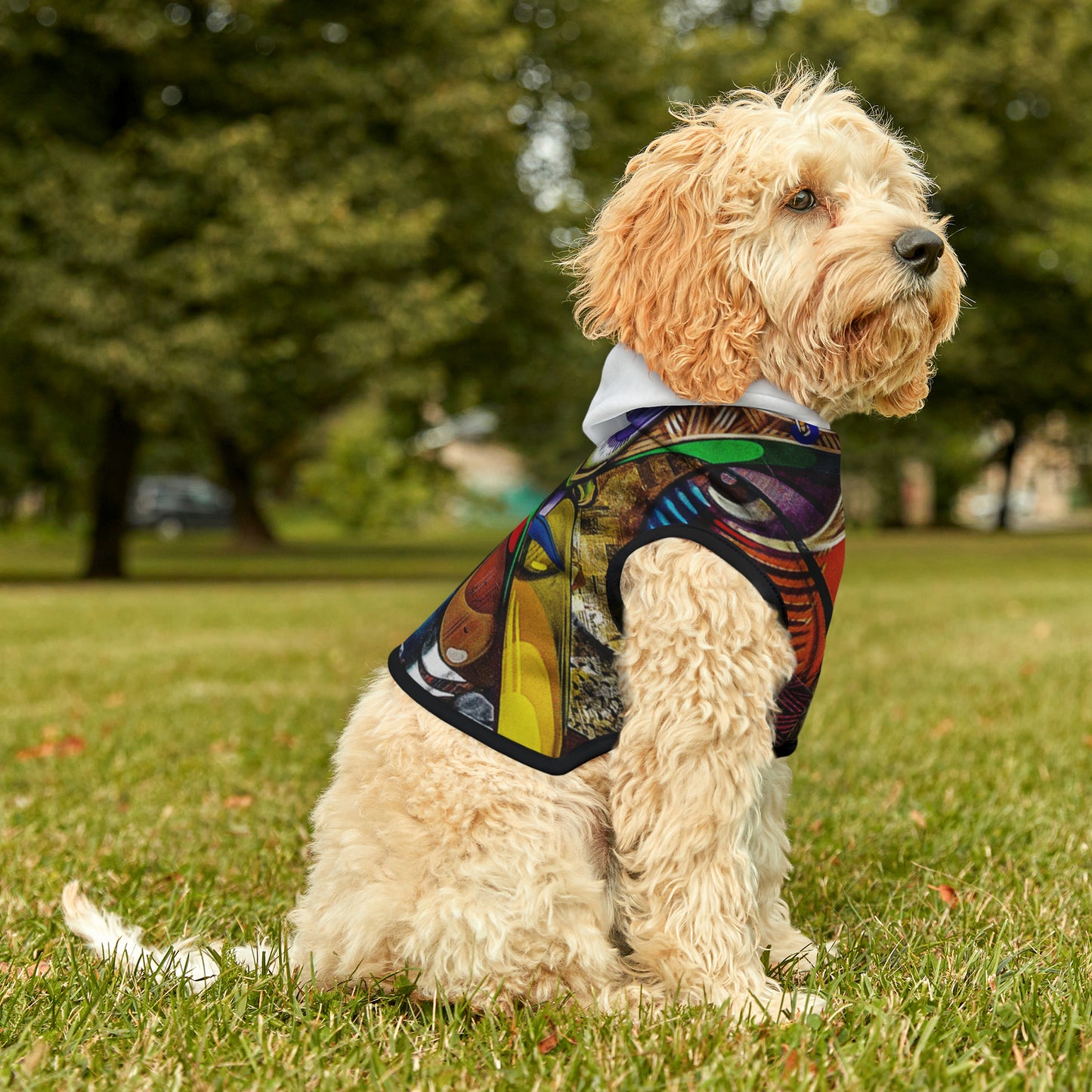 Paised Pet Hoodie